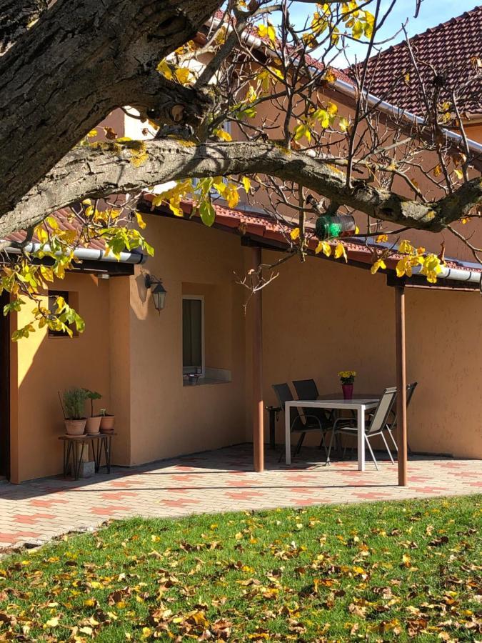 Panorama Apartman Felsoetarkany Felsőtárkány Bagian luar foto