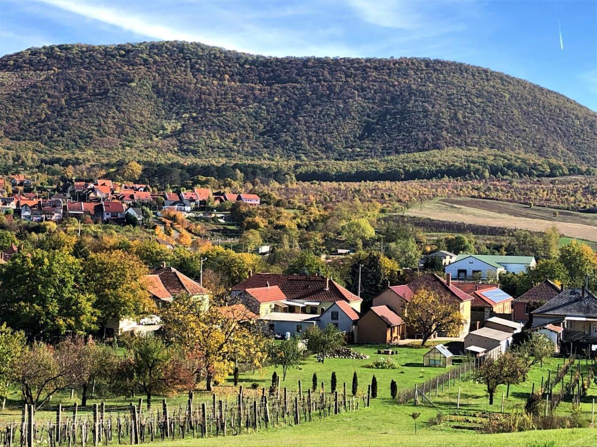 Panorama Apartman Felsoetarkany Felsőtárkány Bagian luar foto
